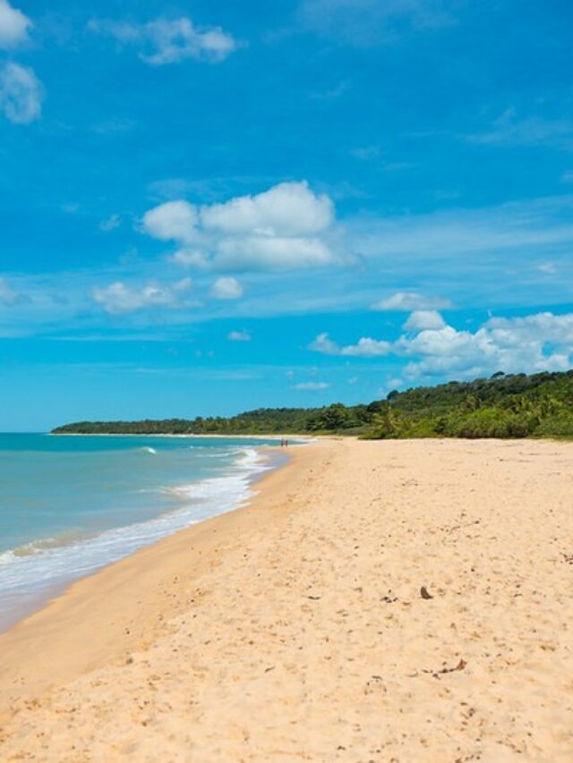 Carnaporto 2023: datas, programação e mais!