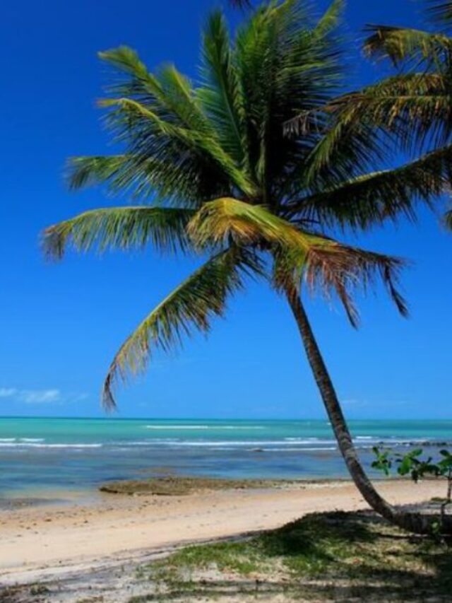 5 destinos para viajar no feriado de 15 de novembro