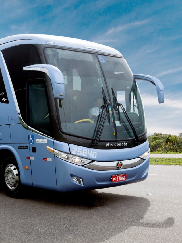 Novas linhas da Águia Branca