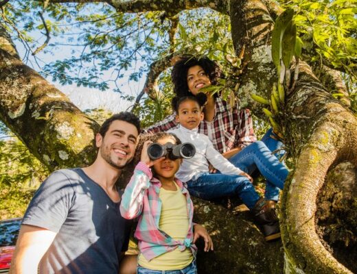 Viagem em Família