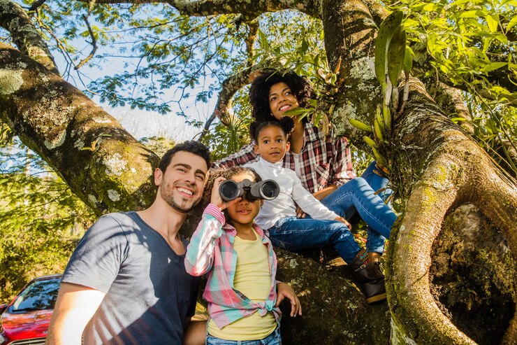 Viagem em Família