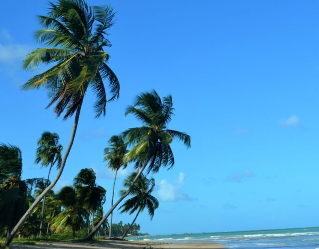 São Miguel dos Milagres, Alagoas