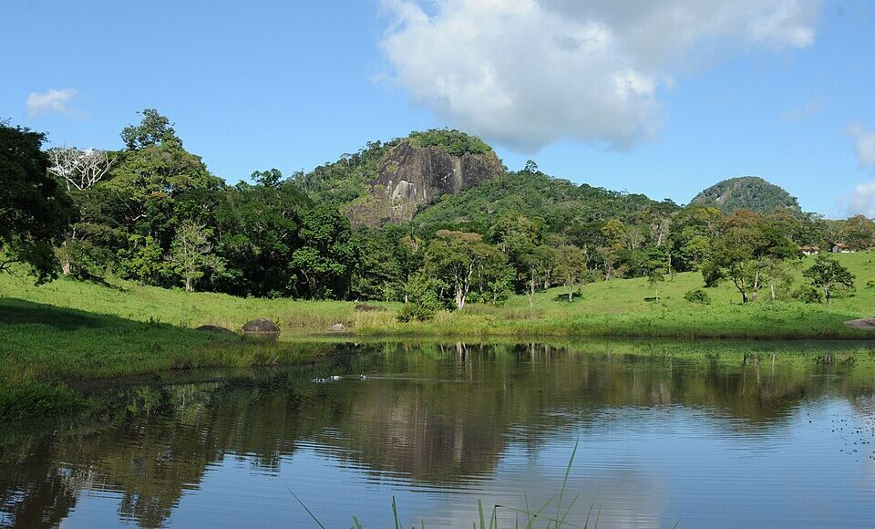 Fazenda Vitoria, Itamaraju - Bahia