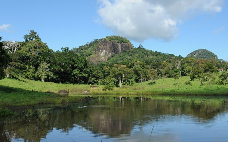 Fazenda Vitoria, Itamaraju - Bahia