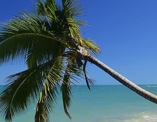 Praia do Espelho - Porto Seguro, Bahia