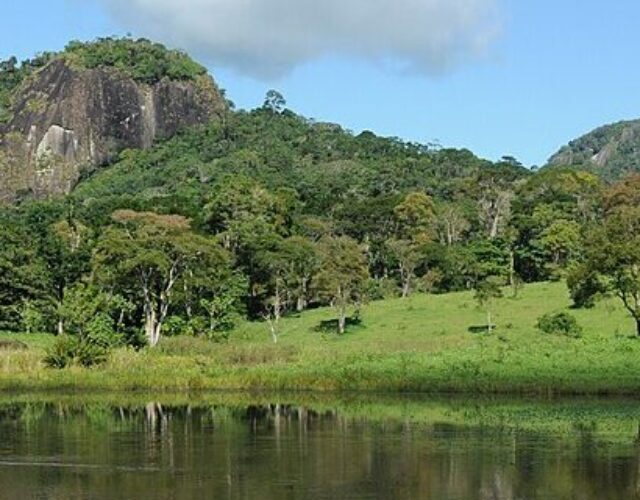 Fazenda Vitoria, Itamaraju - Bahia