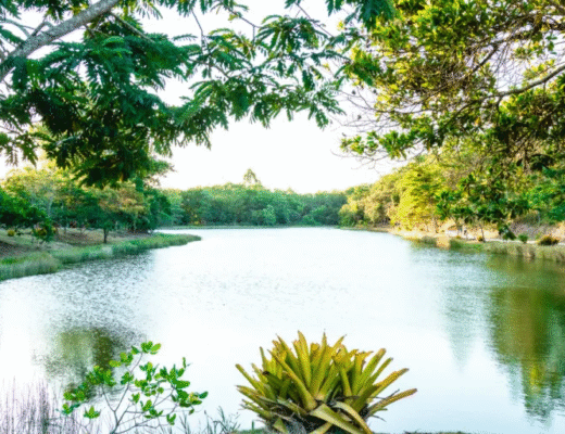 Parque Gravatá - Eunápolis, BA