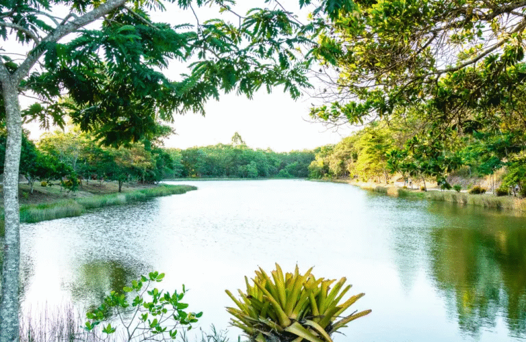 Parque Gravatá - Eunápolis, BA