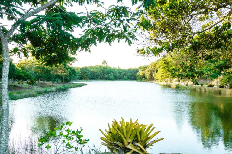 Parque Gravatá - Eunápolis, BA